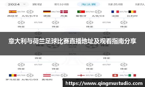 意大利与荷兰足球比赛直播地址及观看指南分享